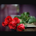 Faten Odeh - @faten.odeh.921 - Instagram