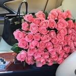 Faten Odeh - @fatenodeh49 - Instagram