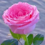 Faten Odeh - Facebook