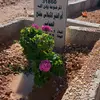 FATHI AWAD - @dypj0t15b6l3 - TikTok