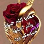 fathi mansour - @fathimansour20 - Instagram