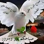 Fathi Mansour - Facebook