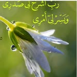 fathi_mansour - @fathi_mansour.24 - Instagram