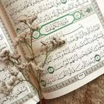 fathi mansour - @fathimansour44 - Instagram