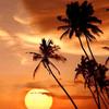 fathi Mansour - @fathi.mansour59 - TikTok