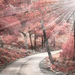 Fatih Berberoglu 178 - @hannahgraham2504608 - Instagram