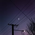 Fatima Aidibi - @faidibi_36 - Instagram