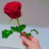 fatima alomar - @fatimaalomar1 - TikTok