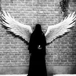 Fatima Alomar - @fa_shamia - Instagram