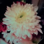 Fatima  alshamsi - @alshamsi3885 - Instagram