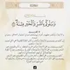Fatima Alshamsi - @fatima.alshamsi78 - TikTok