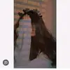 fatima - @fatimaaltaf44 - TikTok