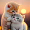 fati🐥💤 - @fatimaalvi54 - TikTok