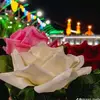 Fatima-Alvi - @fatimaalvi369 - TikTok