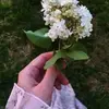 Fatima Aameen - @fatima.aameen - TikTok