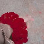 Fatima Ameen - @fatima_ameen._ - Instagram