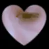 FATiMA AMEEN - @user5392427321079 - TikTok