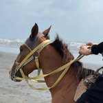Fatima Ameen - @7ftum - Instagram