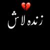 Fatima Ansari - @fatimaansari9650 - TikTok