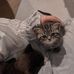 Fatima Zohra Aoun - Facebook