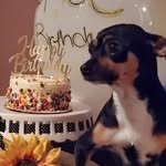 Fatima Aponte - @apontefatima - Instagram