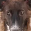 fatimaaponteroble - @fatimaaponteroble - TikTok