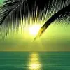 Fatima Arantes - @fatima.arantes0 - TikTok