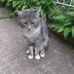 Fatima Armenta - @kittycat_fatima - Instagram