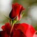 Fatima Asad - Facebook