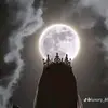 Fatima Asim - @fatima.asim123 - TikTok