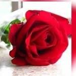 Fatima Asim - @fatimaasim7014 - Instagram