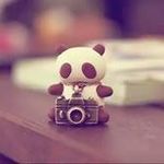 Fatima Assi - @fatima_assi1 - Instagram