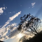 Fatima rmz - @fatima_avalos_ramirez - Instagram