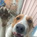 Fatima Aviles - Facebook