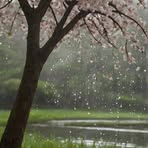 Fatıma Aydin - Facebook