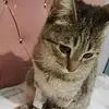 Fatıma 🤍 - @fatimaaydin6 - TikTok