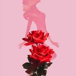 Fatima Ayoubi - @ayoubi750 - Instagram