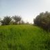 Fatima Ayoubi - Facebook