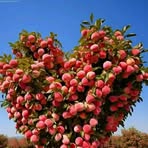 Fatima Azar - Facebook
