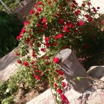 fatima - @fatima__azar - Instagram