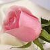 Fatima Azhar - Facebook