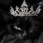 Fatima Baba - @its_ameerarh - Instagram