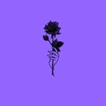 Fatima Babiker - @fatima.babiker1 - Instagram