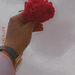 حيدرة حيدرة - @fatima_baker_ - Instagram