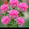 Fatima Baker - @fatima.baker8 - TikTok