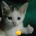 Fatima Balanzar Lima - Facebook