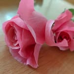 Fatima Bana - @fatima.bana.50 - Instagram