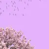 fatimagram07 - @fatima.banks3 - TikTok
