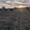 Fatima_🐆 - @fatima_barrera_14 - TikTok