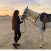 Fatima baydoun - @fatimabaydoun20 - TikTok